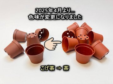 2号プラ鉢ぴったり整理トレイ-厚(ハード)＋2号プラ鉢どっしり型-ミニサイズ【2025年4月より色味変更：こげ茶⇒茶】(トレイ1枚＋16鉢付きで1セット)[*]の画像