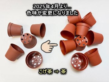2号プラ鉢ぴったり整理トレイ-厚(ハード)＋2号プラ鉢どっしり型-ミニサイズ【2025年4月より色味変更：こげ茶⇒茶】(トレイ1枚＋16鉢付きで1セット)[*]の画像