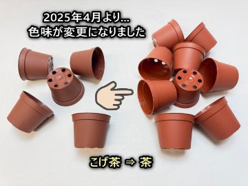 2号プラ鉢ぴったり整理トレイ-厚(ハード)＋2号プラ鉢どっしり型-ミニサイズ【2025年4月より色味変更：こげ茶⇒茶】(トレイ1枚＋16鉢付きで1セット)[*]の画像