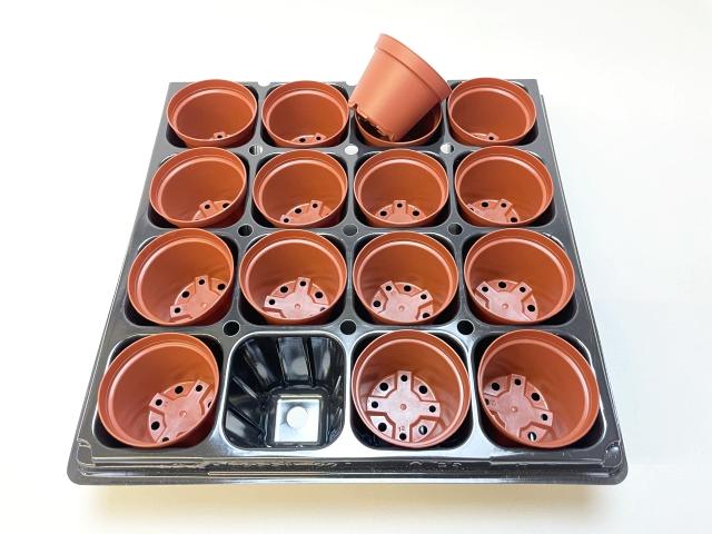 2号プラ鉢ぴったり整理トレイ-厚(ハード)＋2号プラ鉢どっしり型-ミニサイズ【あか茶】(トレイ1枚＋16鉢付きで1セット)[*]の画像