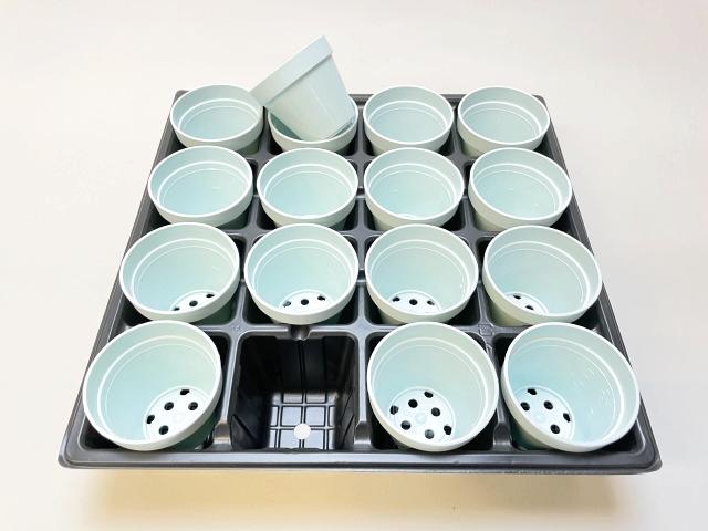2号プラ鉢ぴったり整理トレイ-薄(ソフト)＋ミニ素焼鉢型風プラ鉢2号-縁丸型*丸鉢-水色(トレイ1枚＋16鉢付きで1セット)の画像