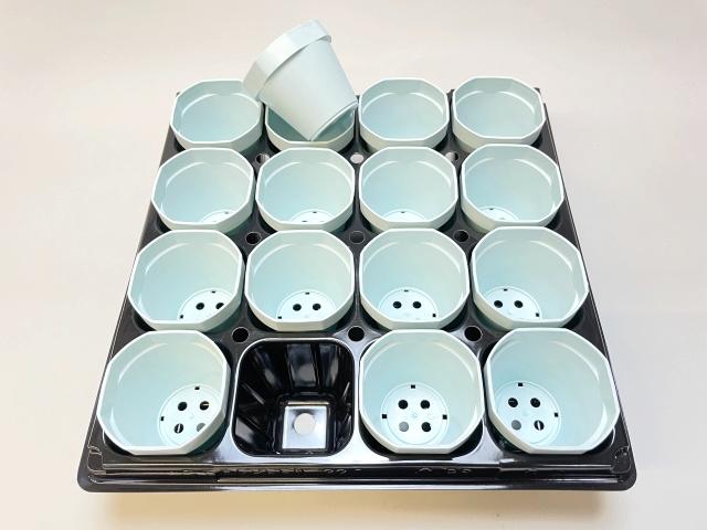 2号プラ鉢ぴったり整理トレイ-厚(ハード)＋ミニ素焼鉢型風プラ鉢2号-縁八角*丸鉢：水色(トレイ1枚＋16鉢付きで1セット)の画像