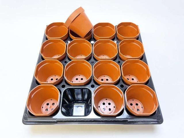 2号プラ鉢ぴったり整理トレイ-厚(ハード)＋ミニ素焼鉢型風プラ鉢2号-縁八角*丸鉢：茶色(トレイ1枚＋16鉢付きで1セット)の画像