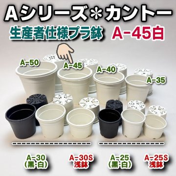 生産者仕様[カントー]プラ鉢A-45-(4号相当)-白※黒インク状の付着が有ったりします[254GW]の画像