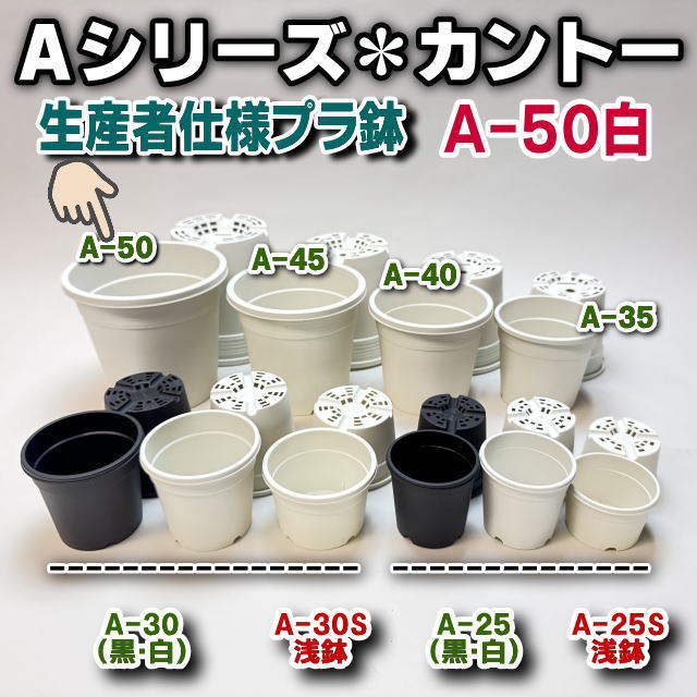 生産者仕様[カントー]プラ鉢A-50-白※黒インク状の付着が有ったりします[254GW]の画像