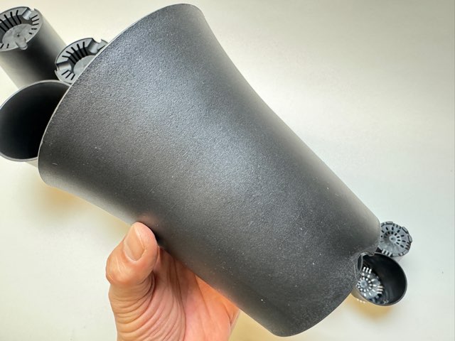 塊根植物 黒鉢付き 新芽あり スマートハイスタイル3.5号【大】プラ鉢-黒※ミニラン鉢・ミニ蘭鉢