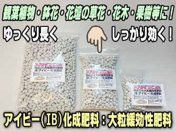 IB(アイビー)化成肥料(大粒緩効性肥料)500g(中)画像