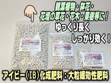 IB(アイビー)化成肥料(大粒緩効性肥料)1kg(大)画像