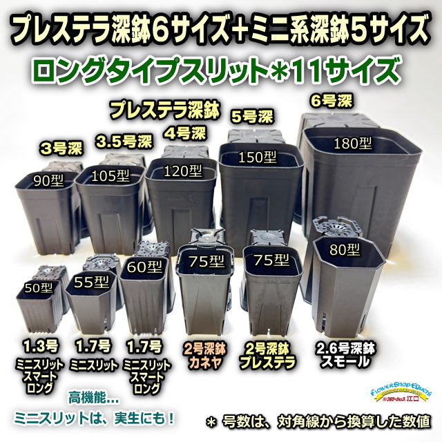 プレステラ深鉢 120-黒★(硬質スリットポット)＠多肉植物・塊根植物コーデックス・アガベ・サボテン・観葉・実生・盆栽・果樹鉢[254GB]の画像