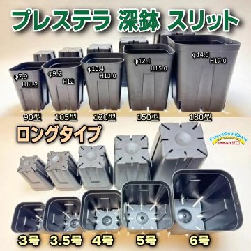 プレステラ深鉢 120-黒★(硬質スリットポット)＠多肉植物・塊根植物コーデックス・アガベ・サボテン・観葉・実生・盆栽・果樹鉢[254GB]の画像