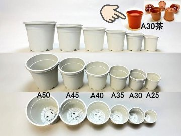 [茶色]生産者仕様[カントー]プラ鉢A-30-茶画像
