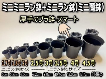 ミニラン鉢・ミニ蘭鉢4号[黒]＊厚手のプラ鉢-スマート鉢＠多肉植物・塊根植物コーデックス・アガベ・盆栽・バラ鉢・果樹鉢[254GB]の画像
