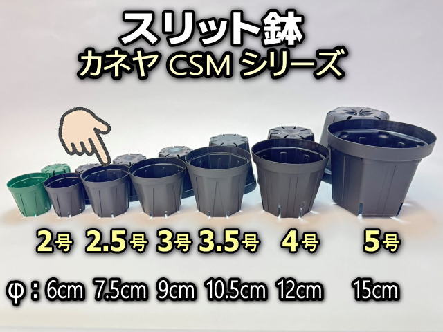 スリット鉢-2.5号黒(CSM-75)ブラック＠多肉植物・塊根植物コーデックス・アガベ・サボテン・盆栽・観葉・実生・バラ鉢・果樹鉢[254GB]の画像
