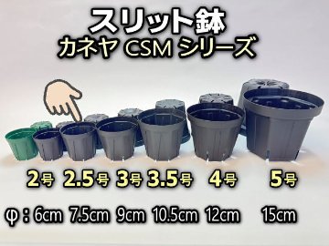 スリット鉢-2.5号黒(CSM-75)ブラック＠多肉植物・塊根植物コーデックス・アガベ・サボテン・盆栽・観葉・実生・バラ鉢・果樹鉢[254GB]の画像