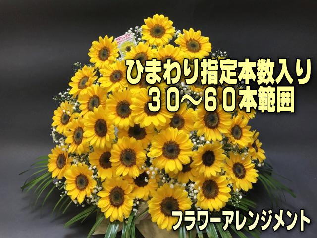 [特大]指定本数入：ひまわり30-60本範囲＋かすみ草のみ フラワーアレンジメント-特大(生花160規格)の画像