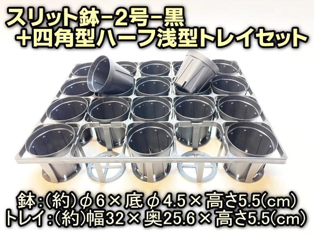7.5cmポットや2号鉢用四角型枠トレイ：ハーフ浅型[H5.5cm]-20鉢用＋スリット鉢-2号黒(トレイ1枚＋20鉢付きで1セット)[*]の画像