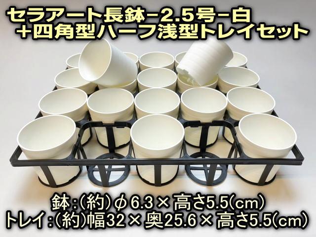 7.5cmポットや2号鉢用四角型枠トレイ：ハーフ浅型[H5.5cm]-20鉢用＋陶器風プラ鉢セラアート長鉢-2.5号(当店2号)-マットな白〇(トレイ1枚＋20鉢付きで1セット)[W][254GW]の画像