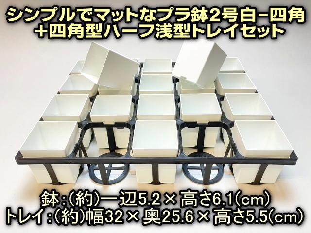 7.5cmポットや2号鉢用四角型枠トレイ：ハーフ浅型[H5.5cm]-20鉢用＋シンプルでマットなプラ鉢2号白-四角(トレイ1枚＋20鉢付きで1セット)[w]の画像