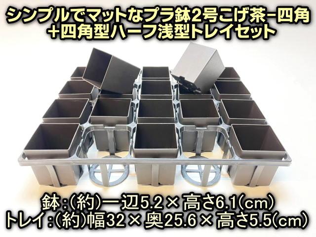 7.5cmポットや2号鉢用四角型枠トレイ：ハーフ浅型[H5.5cm]-20鉢用＋シンプルでマットなプラ鉢2号こげ茶-四角(トレイ1枚＋20鉢付きで1セット)[*]の画像
