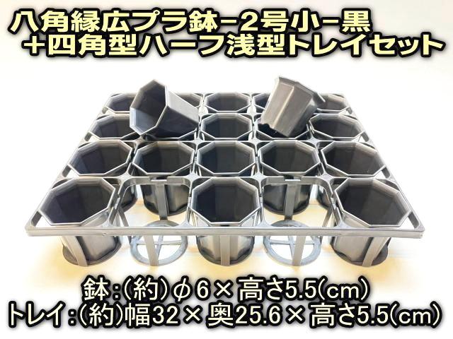 7.5cmポットや2号鉢用四角型枠トレイ：ハーフ浅型[H5.5cm]-20鉢用＋八角縁広プラ鉢-2号小-黒(トレイ1枚＋20鉢付きで1セット)[*]の画像