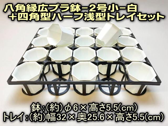 7.5cmポットや2号鉢用四角型枠トレイ：ハーフ浅型[H5.5cm]-20鉢用＋八角縁広プラ鉢-2号小-白(トレイ1枚＋20鉢付きで1セット)[w]の画像