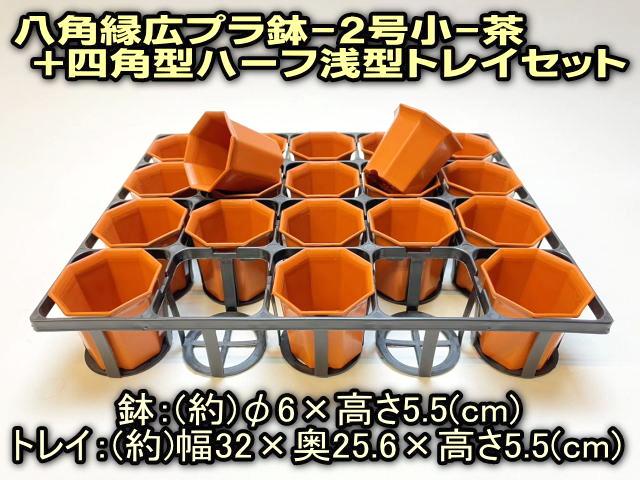 7.5cmポットや2号鉢用四角型枠トレイ：ハーフ浅型[H5.5cm]-20鉢用＋八角縁広プラ鉢-2号小-茶(トレイ1枚＋20鉢付きで1セット)の画像
