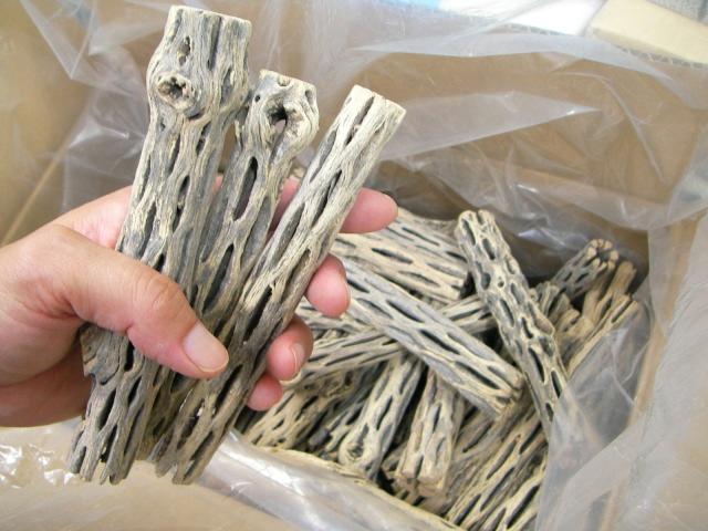 ミニ・スケルトンウッド：15cm規格【細】-(約φ1〜2cm未満×長さ約14〜15cm前後)※1本売りの画像
