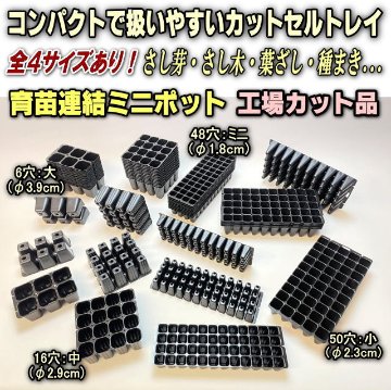 カットセルトレイ-3×2=6穴【植穴:大3.9cm四角】工場分割カット品[セルトレー/プラグトレー/育苗ミニポット]*空トレイ1枚売の画像