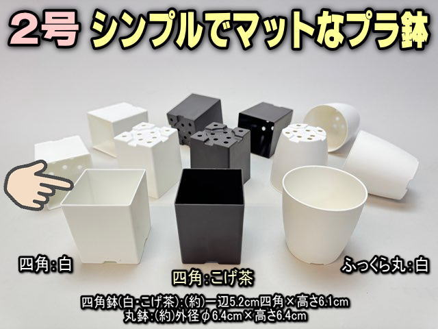 シンプルでマットなプラ鉢2号白-四角[w]の画像