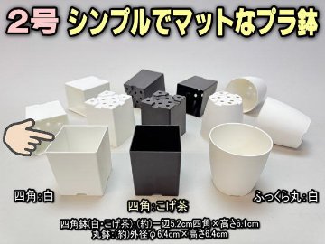 シンプルでマットなプラ鉢2号白-四角[w]の画像