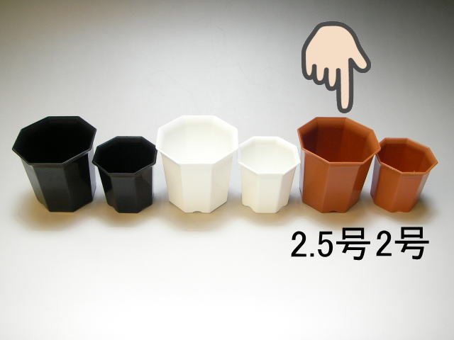 プレステラ90対応：四角型枠黒トレイ大＋八角縁広プラ鉢-2.5号-茶(トレイ1枚＋24鉢付きで1セット)画像
