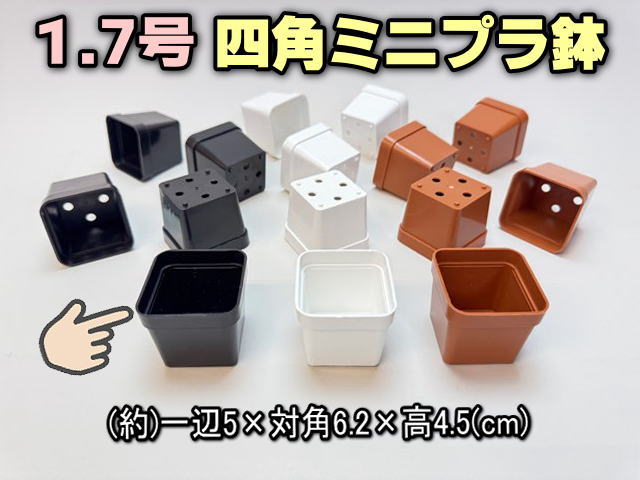 1.7号四角プラ鉢-黒-超ミニサイズ(スクウェア)スクエア