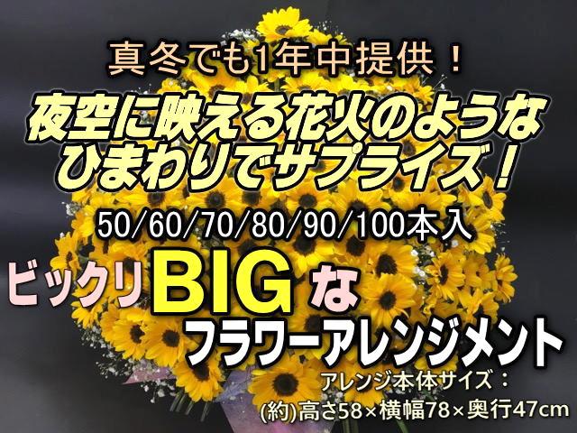 [BIG]指定本数入：ひまわり50-100本範囲＋かすみ草のみ フラワーアレンジメント-BIG(生花200規格)の画像