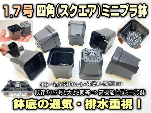 1.7号四角(スクエア)□高機能ミニプラ鉢-黒(一辺5(対角6.2)×鉢底