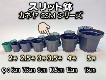 スリット鉢-3.5号黒(CSM-105)ブラック＠多肉植物・塊根植物コーデックス・アガベ・サボテン・盆栽・観葉・実生・バラ鉢・果樹鉢[254GB]の画像