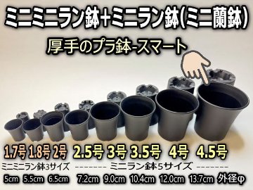 ミニラン鉢・ミニ蘭鉢4.5号[黒]＊厚手のプラ鉢-スマート鉢＊多肉植物・塊根植物コーデックス・アガベ・盆栽・バラ鉢・果樹鉢＠フラワーショップ江口