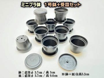 1号プラ鉢-黒鉢＋黒受皿セット 超ミニサイズ画像