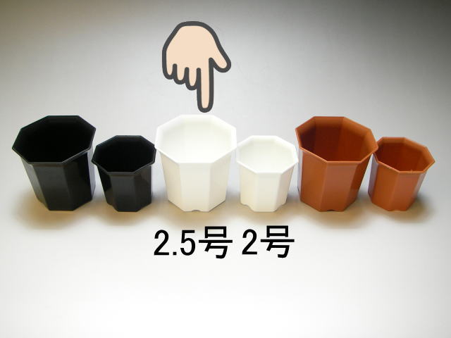 八角縁広プラ鉢(シャトル鉢)-2.5号中-白(ホワイト)＊八角鉢[254GW]の画像