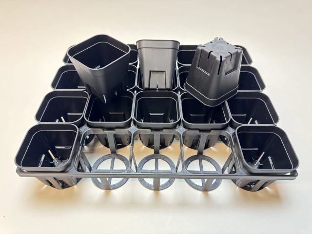 7.5cmポットや2号鉢用四角型枠トレイ：ハーフ浅型[H5.5cm]-20鉢用＋プレステラ75-(2号相当)-黒[四角]●(トレイ1枚＋20鉢付きで1セット)の画像