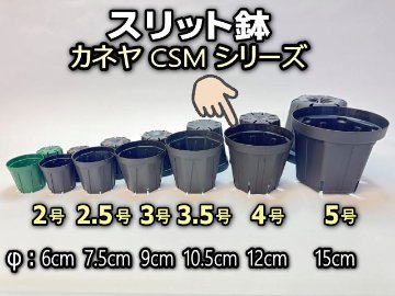 多段式(120＋140＋120)　4.4㍉メス-4.4㍉オス　約70cm　黒指定 スリット鉢-4号黒(CSM-120)ブラック[254GB]＠多肉植物・塊根植物