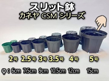 スリット鉢-5号黒(CSM-150)ブラック[254GB]＠多肉植物・塊根植物