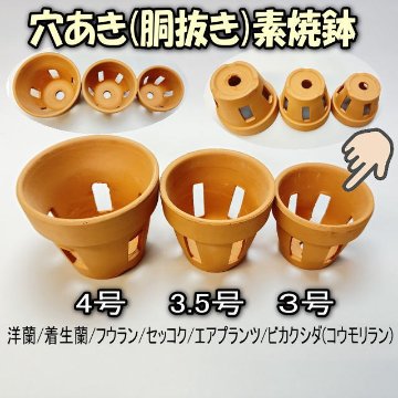 R7/01/18少量入荷！穴あき(胴抜き)素焼鉢-3号[長四角形穴]洋蘭/着生蘭/フウラン/セッコク/エアプランツ/ビカクシダ(コウモリラン)1鉢売※多少の欠け凹みご容赦を!の画像