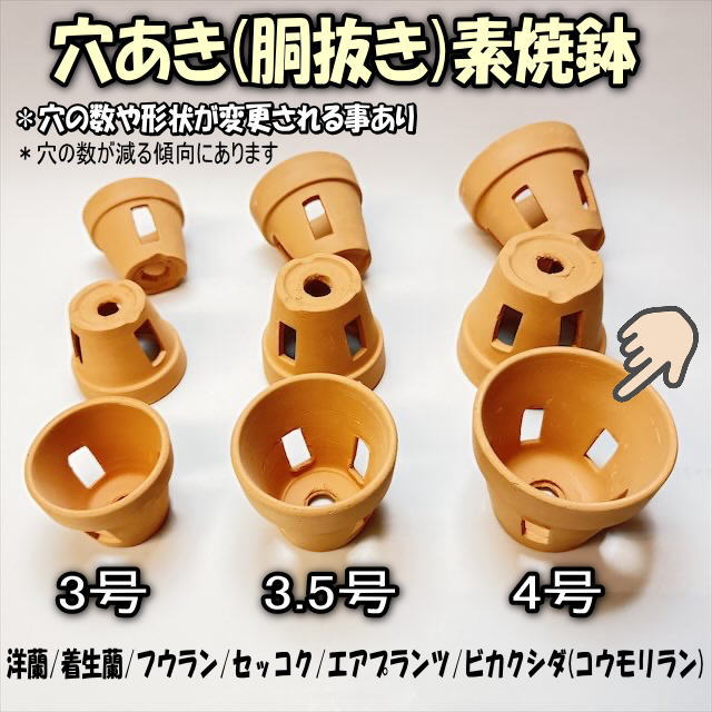 R8/9/14少量入荷！(新)側面穴5ヶ所タイプ＊穴あき(胴抜き)素焼鉢-4号[長四角形穴]洋蘭/着生蘭/フウラン/セッコク/エアプランツ/ビカクシダ(コウモリラン)1鉢売※多少の欠け凹みご容赦を!の画像