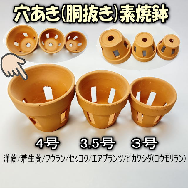 R8/01/13少量入荷！穴あき(胴抜き)素焼鉢-4号[長四角形穴]洋蘭/着生蘭/フウラン/セッコク/エアプランツ/ビカクシダ(コウモリラン)1鉢売※多少の欠け凹みご容赦を!の画像