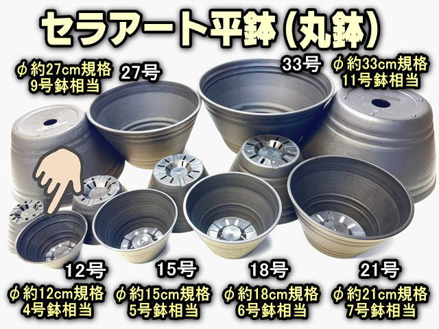 セラアート平鉢(丸鉢)-12号-黒(陶器風プラ鉢)(直径φ約12cmで一般的な4号浅鉢相当)＠多肉植物・塊根植物コーデックス・アガベ・サボテン・盆栽鉢・バラ鉢・果樹鉢[254GB]の画像