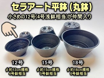 セラアート平鉢(丸鉢)-12号-黒(陶器風プラ鉢)(直径φ約12cmで一般的な4号浅鉢相当)＠多肉植物・塊根植物コーデックス・アガベ・サボテン・盆栽鉢・バラ鉢・果樹鉢[254GB]の画像