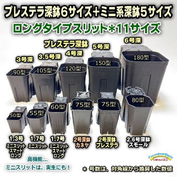 プレステラ深鉢75-黒★(硬質スリットポット)＠多肉植物・塊根植物コーデックス・アガベ・サボテン・観葉・実生・盆栽・果樹鉢[254GB]の画像