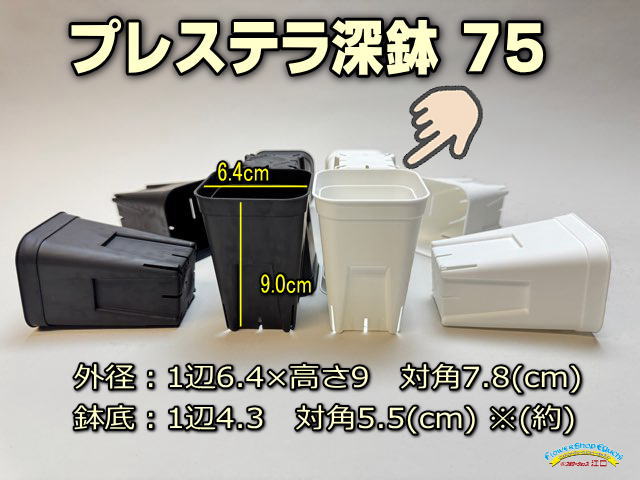 プレステラ深鉢 75-白☆(硬質スリットポット)＠多肉植物・塊根植物コーデックス・アガベ・サボテン・観葉・実生・盆栽・果樹鉢[254GB]の画像