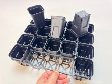 7.5cmポットや2号鉢用四角型枠トレイ：ハーフ標準型[H6.4cm]-20鉢用＋プレステラ深鉢75(2号相当)黒★(トレイ1枚＋20鉢付きで1セット)の画像