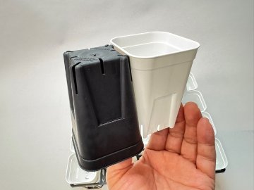 7.5cmポットや2号鉢用四角型枠トレイ：ハーフ標準型[H6.4cm]-20鉢用＋プレステラ深鉢75(2号相当)白☆(トレイ1枚＋20鉢付きで1セット)の画像